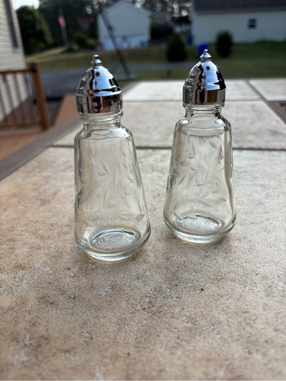 Princess House Glass Salt and Pepper Shakers with Etched Leaf Design Silver Tops